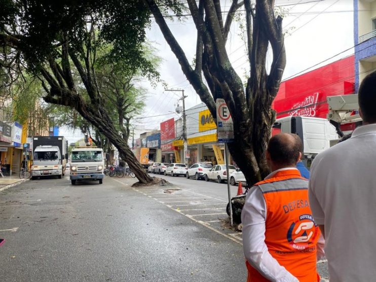 Força-tarefa da Prefeitura de Eunápolis remove árvore que inclinou no centro de Eunápolis durante chuvas 15