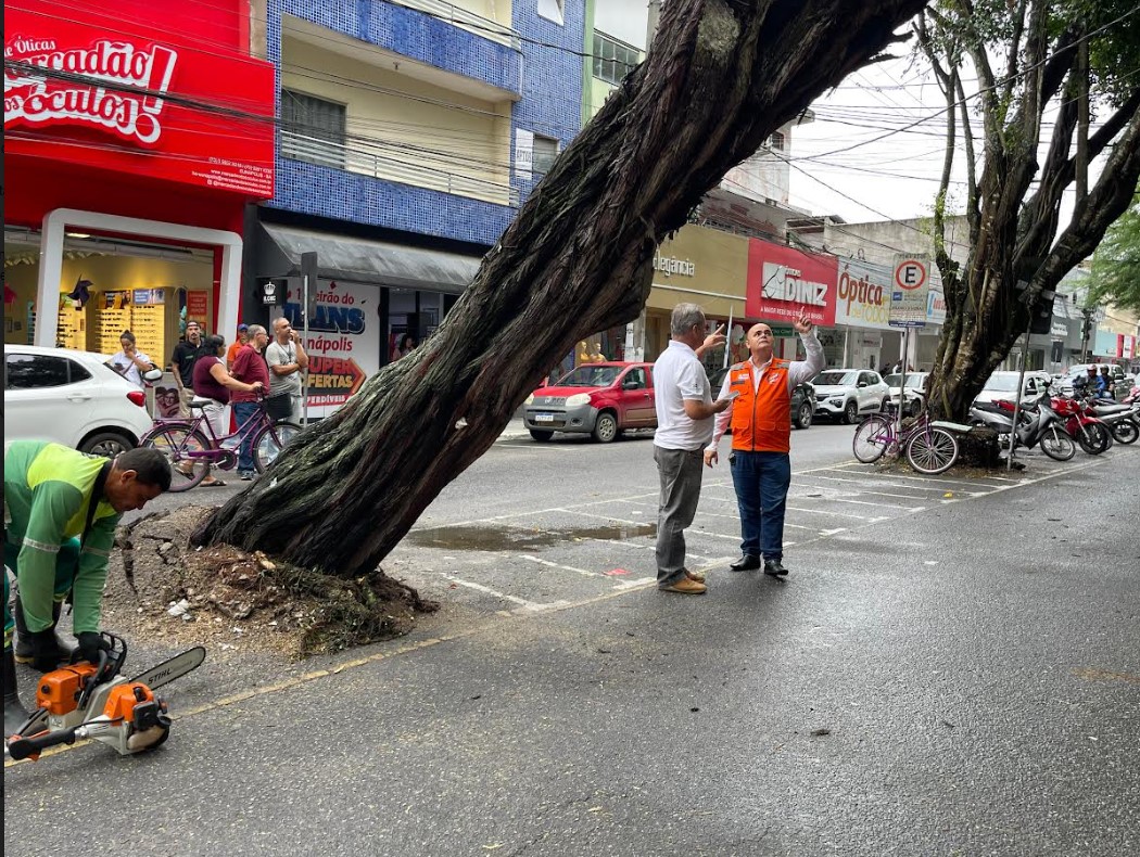 Força-tarefa da Prefeitura de Eunápolis remove árvore que inclinou no centro de Eunápolis durante chuvas 5
