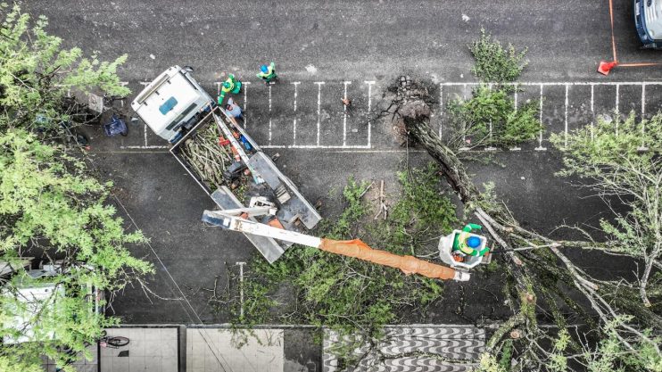 Força-tarefa da Prefeitura de Eunápolis remove árvore que inclinou no centro de Eunápolis durante chuvas 9