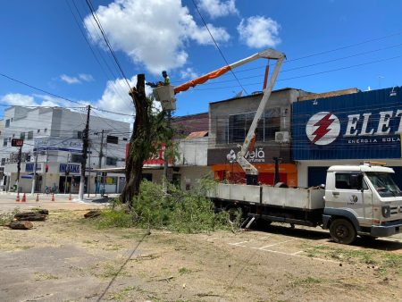 Por medida de segurança, Prefeitura de Eunápolis remove árvores na Av. Duque de Caxias 25