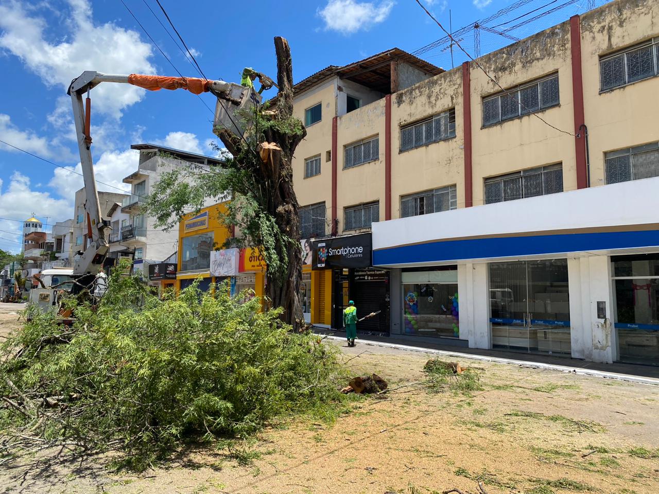 Por medida de segurança, Prefeitura de Eunápolis remove árvores na Av. Duque de Caxias 6