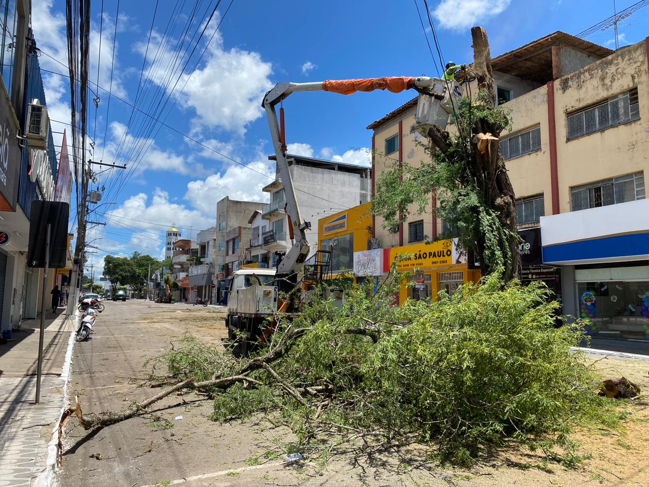 Por medida de segurança, Prefeitura de Eunápolis remove árvores na Av. Duque de Caxias 5
