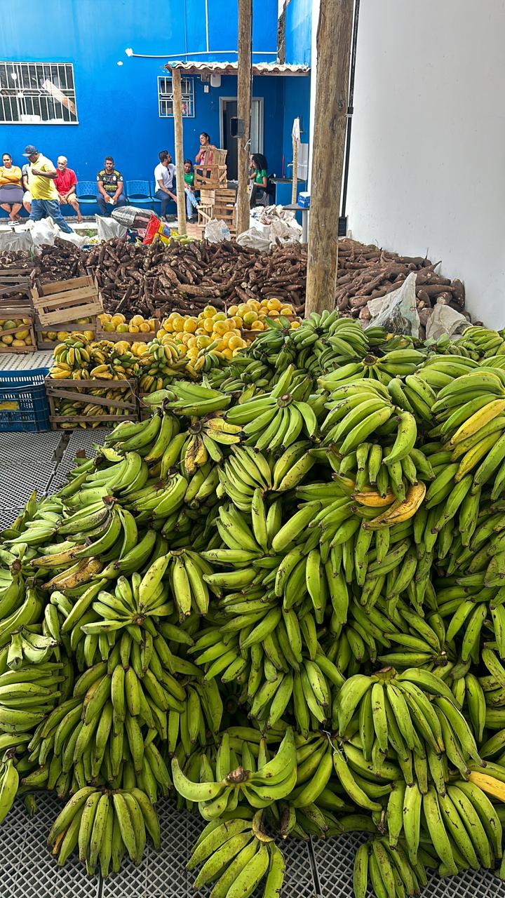 Mais de 600 famílias de Porto Seguro são beneficiadas pelo PAA 8