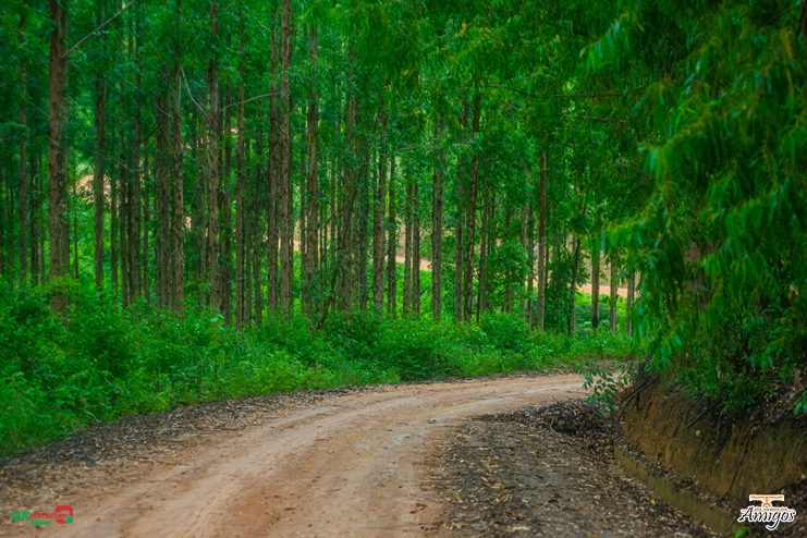 DSC_0235 5ª Ultra Maratona dos Amigos reuniu mais de 170 atletas no primeiro dia do evento 191
