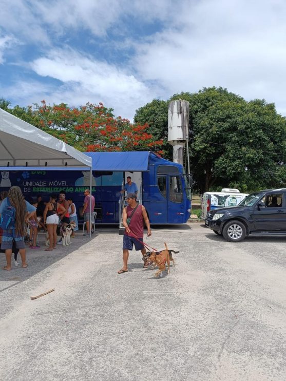 1ª FASE: MUTIRÃO DE CASTRAÇÃO BATE RECORDE EM ARRAIAL D'AJUDA 14