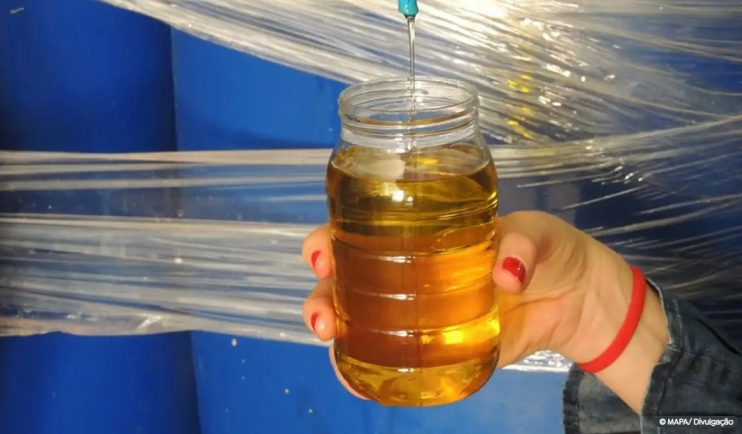 Ministério da Agricultura manda recolher dez marcas de azeite Ministério da Agricultura manda recolher dez marcas de azeite 4