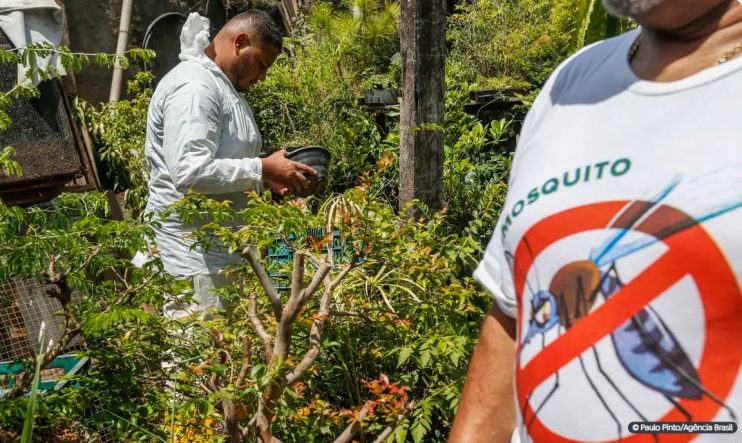 Brasil registra mais de 2 milhões de casos de dengue 4