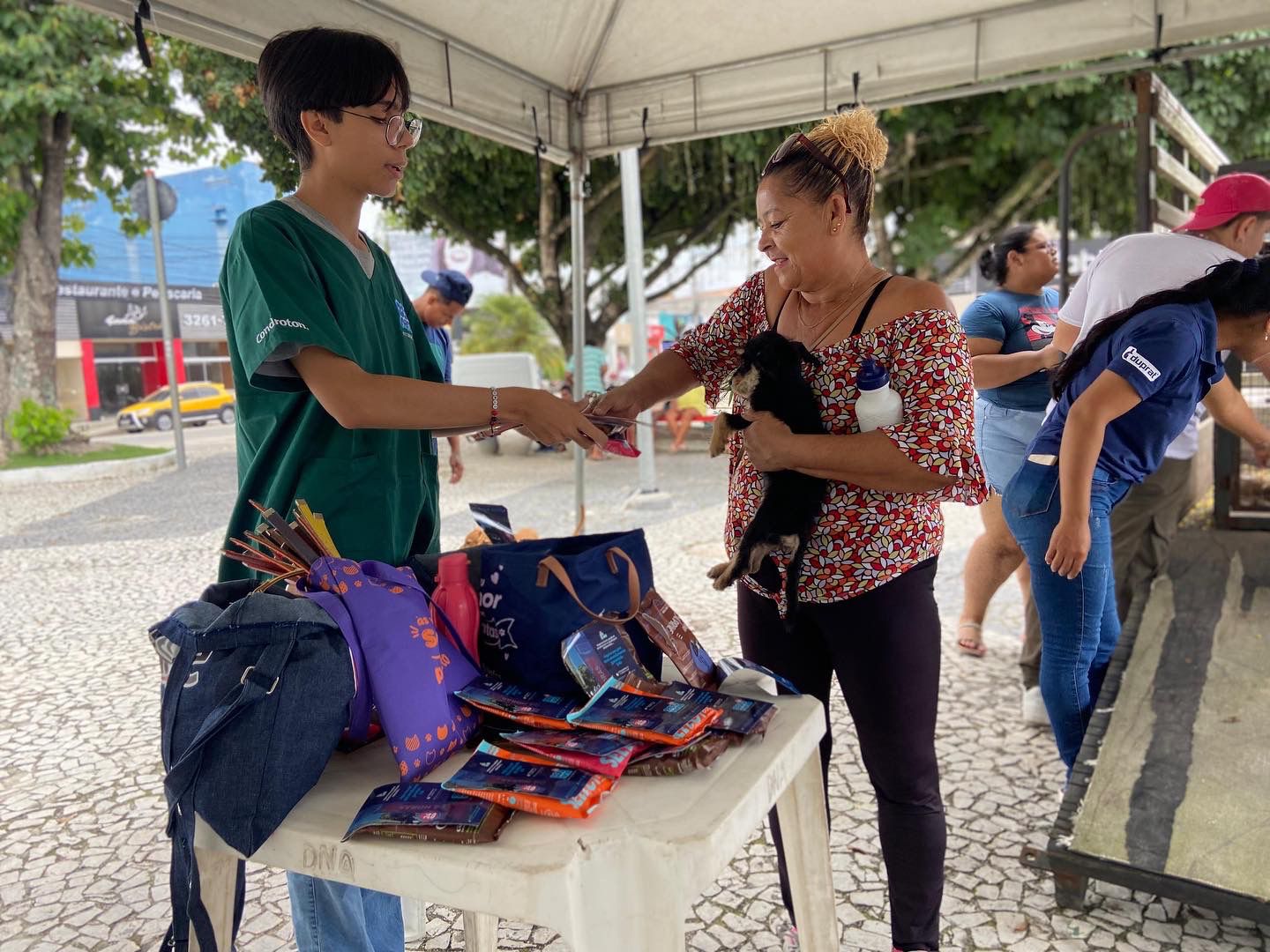 Iniciativa da Prefeitura de Eunápolis garante novo lar para 23 cães e gatos 7