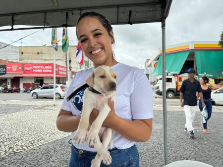 Iniciativa da Prefeitura de Eunápolis garante novo lar para 23 cães e gatos 8