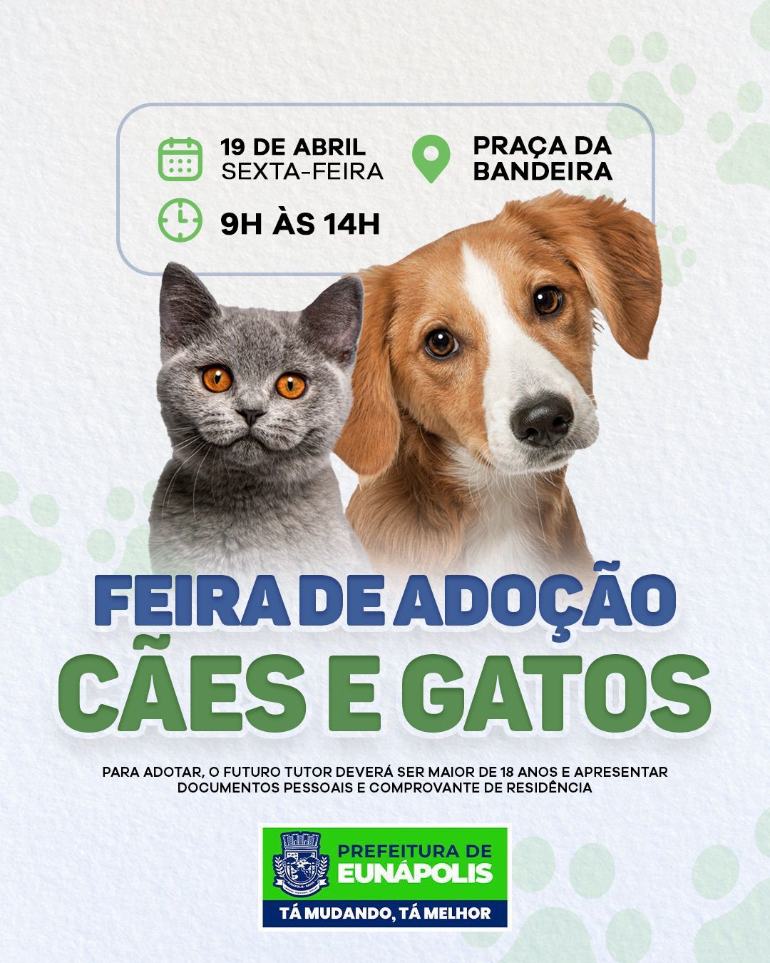 Prefeitura de Eunápolis promove mais uma Feira de Adoção de Cães e Gatos nesta sexta-feira 12