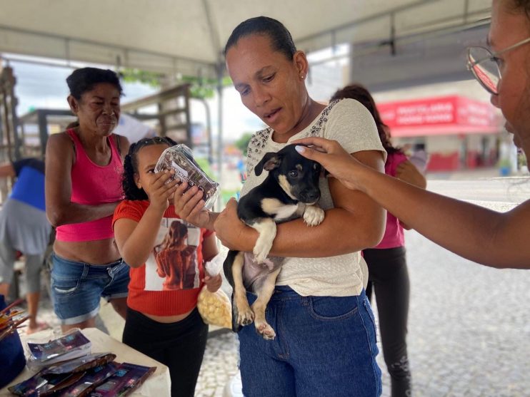 Iniciativa da Prefeitura de Eunápolis garante novo lar para 23 cães e gatos 10