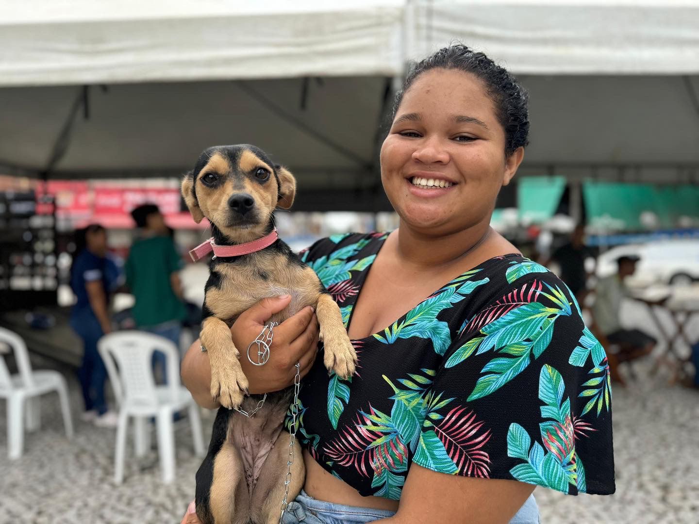 Iniciativa da Prefeitura de Eunápolis garante novo lar para 23 cães e gatos 9