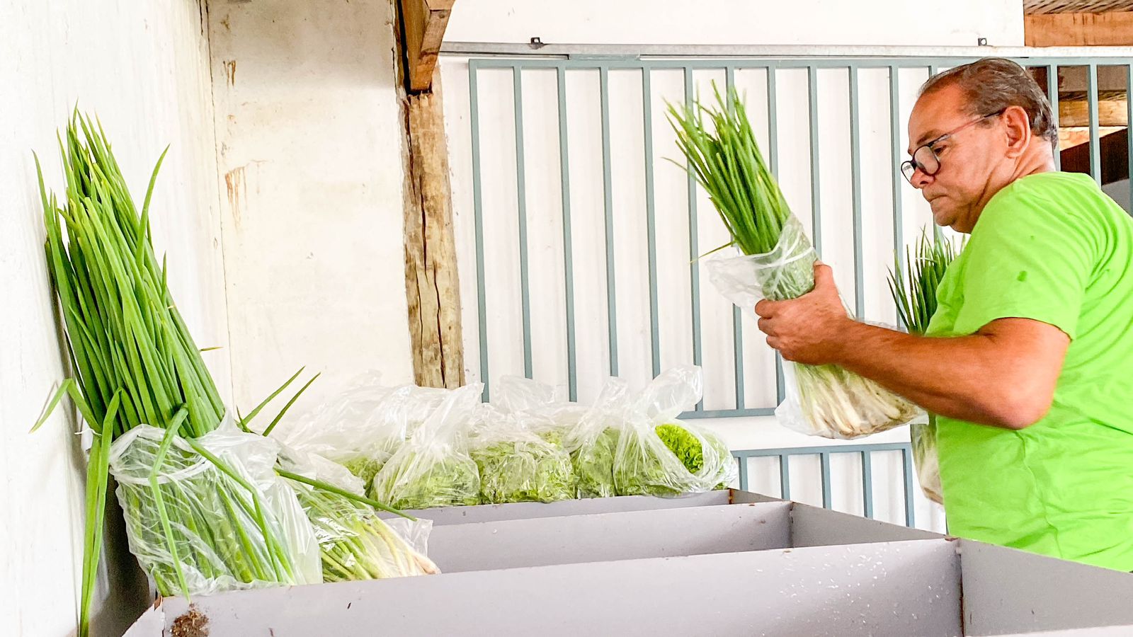 Prefeitura de Eunápolis inicia aquisição de alimentos de agricultores familiares para 2024 7