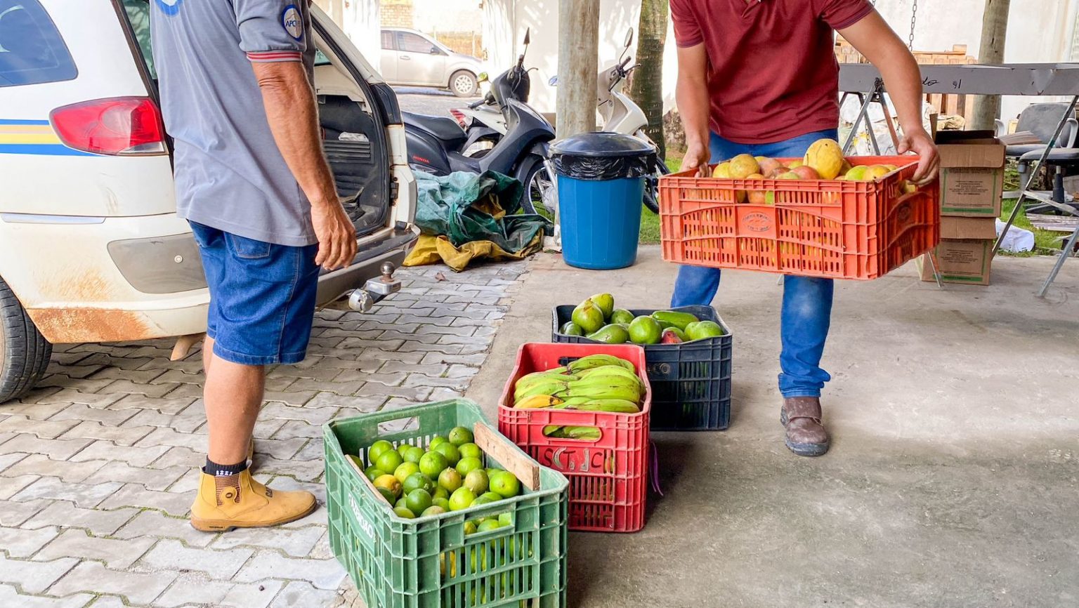 Prefeitura de Eunápolis inicia aquisição de alimentos de agricultores familiares para 2024 Prefeitura de Eunápolis inicia aquisição de alimentos de agricultores familiares para 2024 11