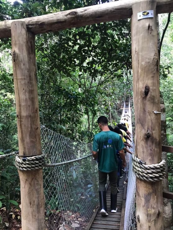 EDUCAÇÃO AMBIENTAL: Projeto Conhecer para Preservar leva estudantes da Escola Municipal Helena Rebocho à RPPN Veracel 9