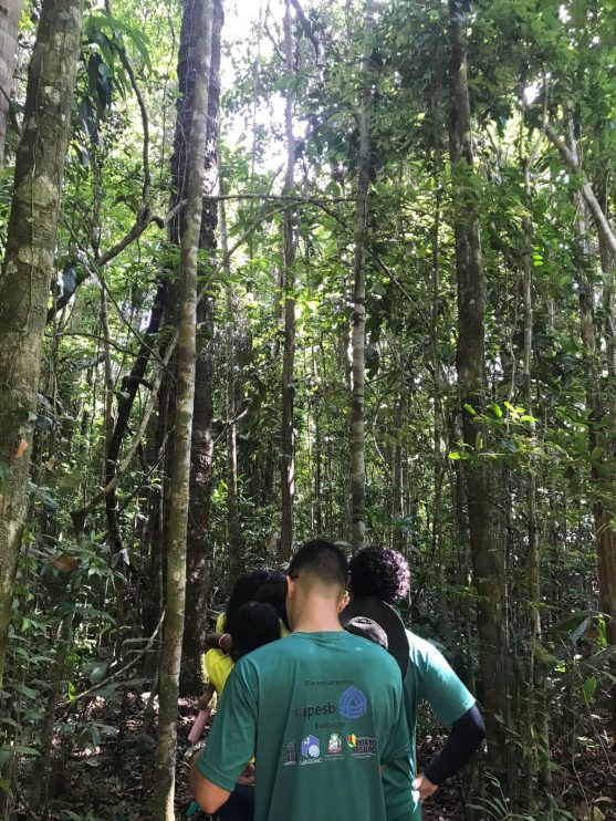 EDUCAÇÃO AMBIENTAL: Projeto Conhecer para Preservar leva estudantes da Escola Municipal Helena Rebocho à RPPN Veracel 10