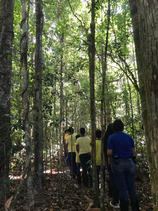 EDUCAÇÃO AMBIENTAL: Projeto Conhecer para Preservar leva estudantes da Escola Municipal Helena Rebocho à RPPN Veracel 8