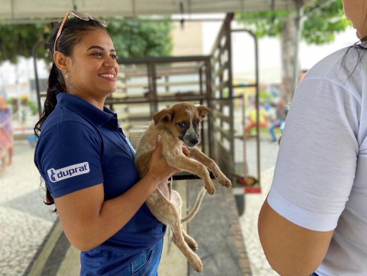 Iniciativa da Prefeitura de Eunápolis garante novo lar para 23 cães e gatos 9