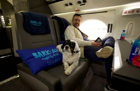 Primeiros voos exclusivos para pets chegam a R$ 40 mil; saiba mais 9