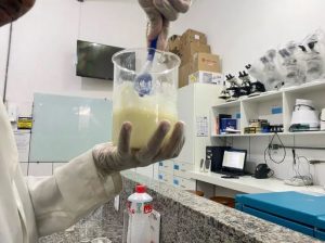 Estudantes do Sul da Bahia desenvolvem sabonete que acelera cicatrização 2