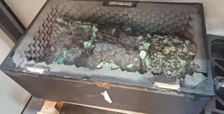 Pedra preciosa com esmeraldas encontrada na Bahia é arrematada por R$ 175 milhões em leilão da Receita Federal 8