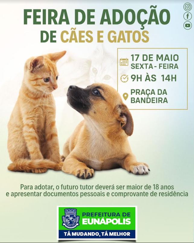 Feira de Adoção de Cães e Gatos acontece nesta sexta-feira na Praça da Bandeira 3