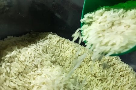 Governo libera mais R$ 6,7 bilhões para garantir arroz a preço justo no prato dos brasileiros 104