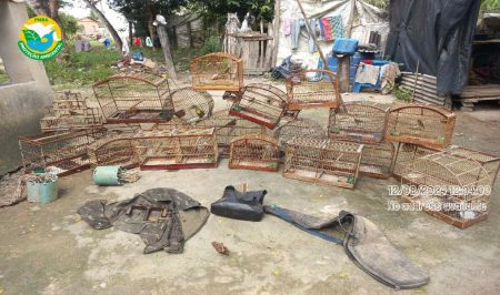 CIPPA/PS desativa Cativeiro Ilegal de Animais Silvestres em Santa Cruz Cabrália 5