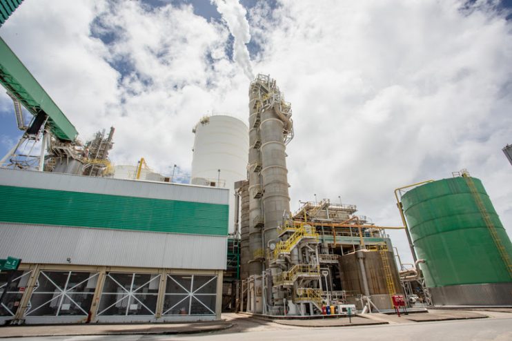 Começa hoje a Parada Geral 2024 da Veracel Começa hoje a Parada Geral 2024 da Veracel 4