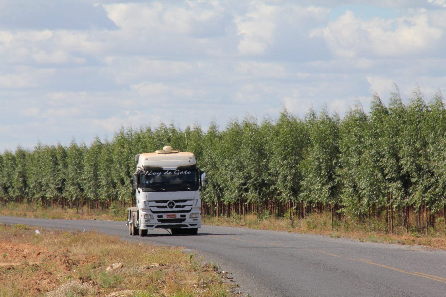 Veracel Celulose abre vaga para Motorista Comboista 9
