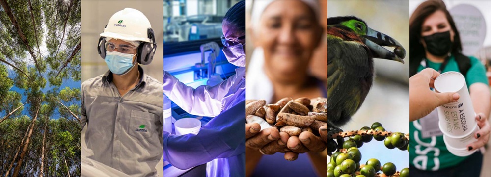 Suzano contribui para retirar mais de 97 mil pessoas da linha da pobreza em quatro anos 5