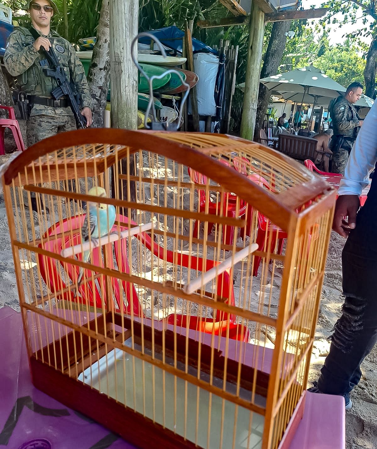 Semac reforça proteção à fauna silvestre em ação na orla de Arraial D’Ajuda 6