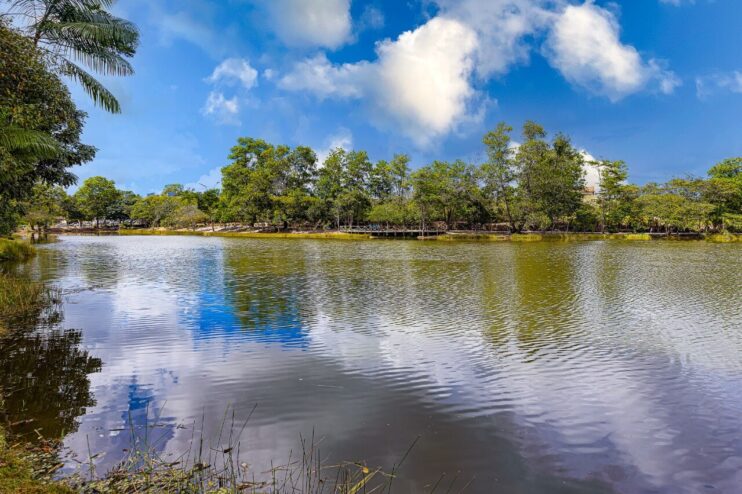 Eunápolis celebra o Dia Mundial da Água com caminhada ecológica no Parque Gravatá 23