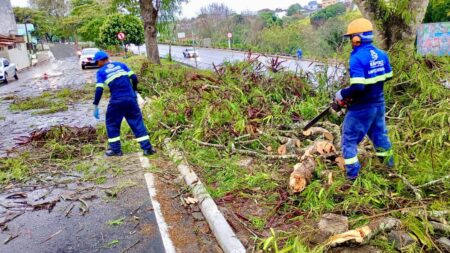 Prefeitura de Eunápolis atua com agilidade para reduzir efeitos das chuvas e ventania 9