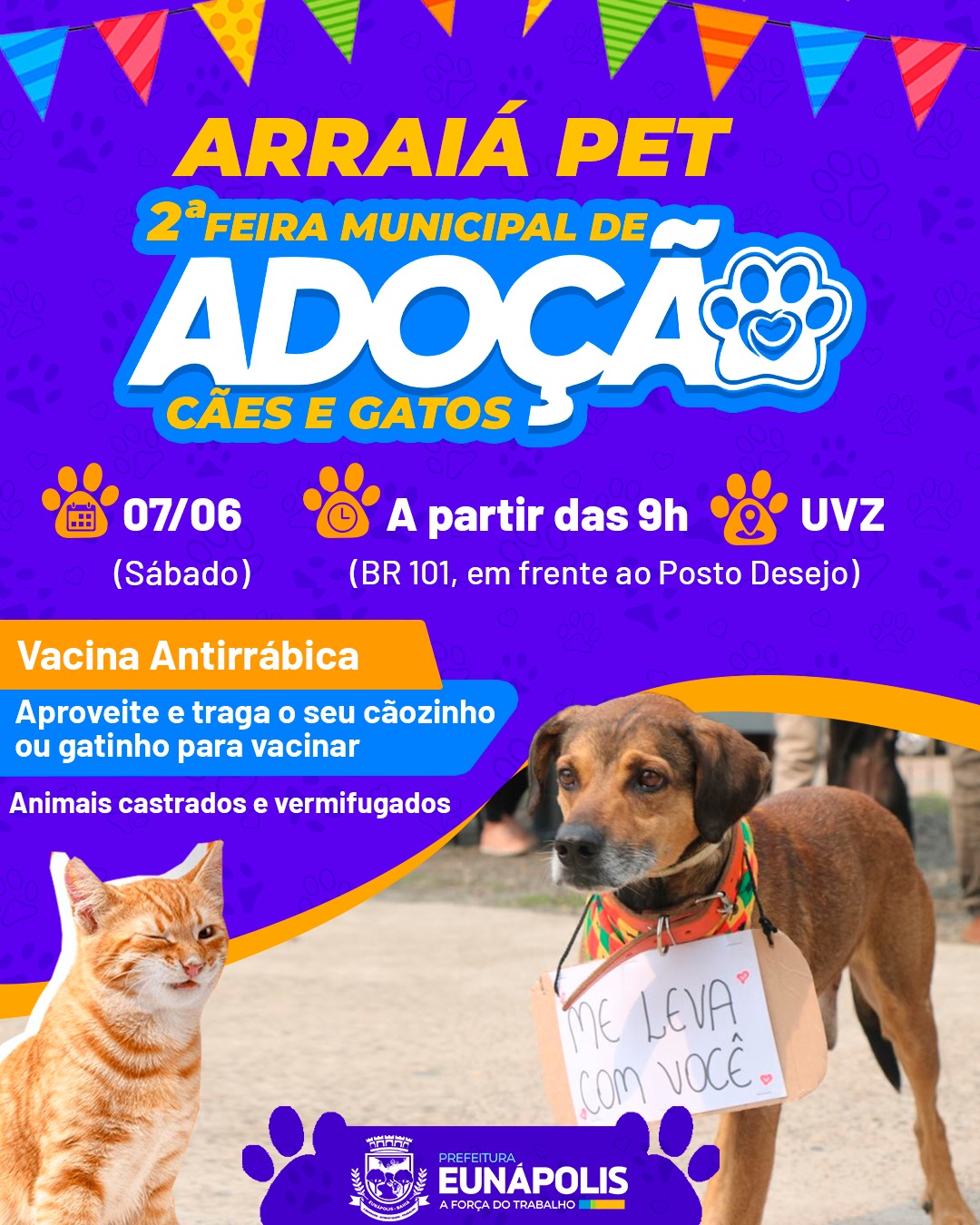 Arraiá Pet e Feira de Adoção Animal movimentam Eunápolis com solidariedade e amor pelos animais 5
