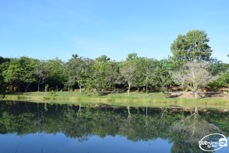 Prefeitura de Eunápolis celebra Dia Mundial do Meio Ambiente com ações educativas e plantio de árvores no parque Gravatá 13