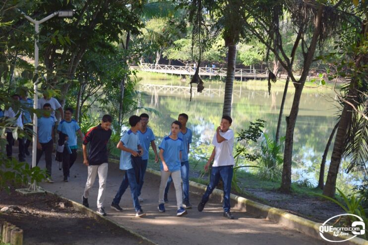 Prefeitura de Eunápolis celebra Dia Mundial do Meio Ambiente com ações educativas e plantio de árvores no parque Gravatá 38