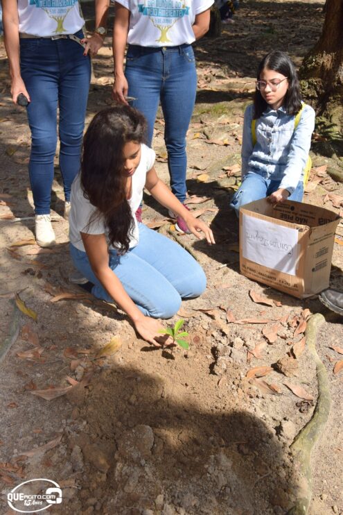 Prefeitura de Eunápolis celebra Dia Mundial do Meio Ambiente com ações educativas e plantio de árvores no parque Gravatá 191