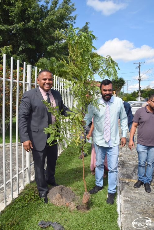 Câmara comemora Dia Mundial do Meio Ambiente com plantio de mudas 13