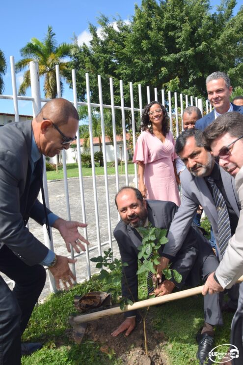 Câmara comemora Dia Mundial do Meio Ambiente com plantio de mudas 18