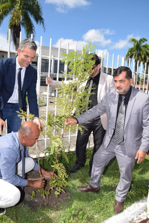 Câmara comemora Dia Mundial do Meio Ambiente com plantio de mudas 38