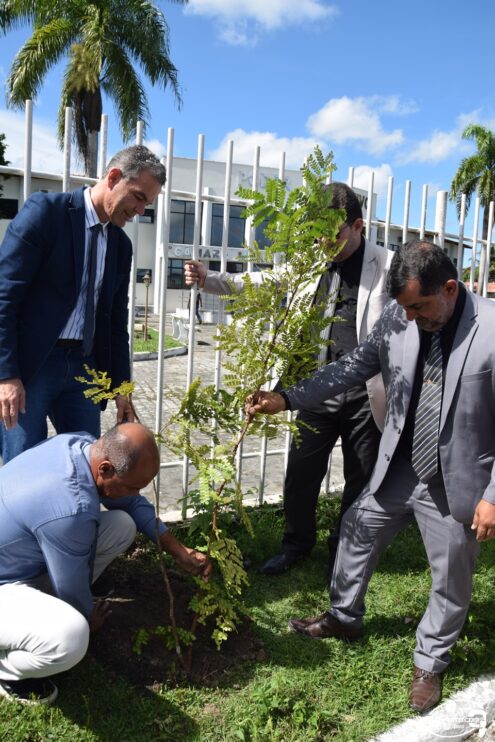 Câmara comemora Dia Mundial do Meio Ambiente com plantio de mudas 40