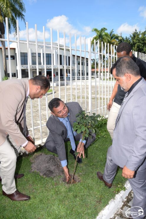 Câmara comemora Dia Mundial do Meio Ambiente com plantio de mudas 47