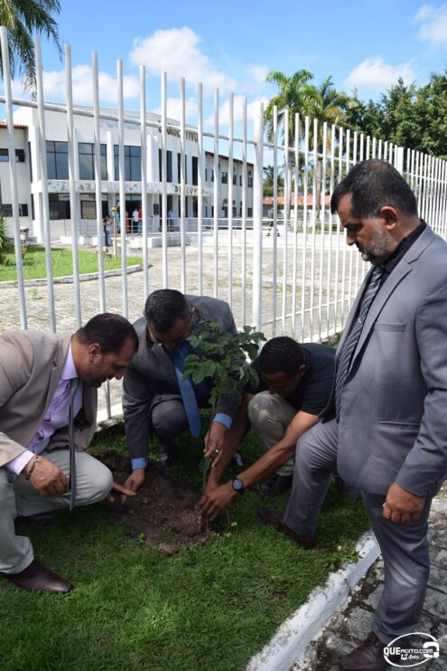 Câmara comemora Dia Mundial do Meio Ambiente com plantio de mudas 50