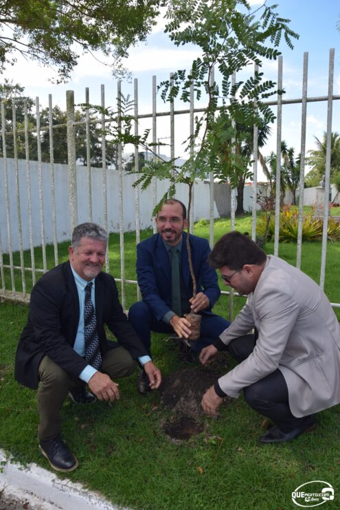 Câmara comemora Dia Mundial do Meio Ambiente com plantio de mudas 52