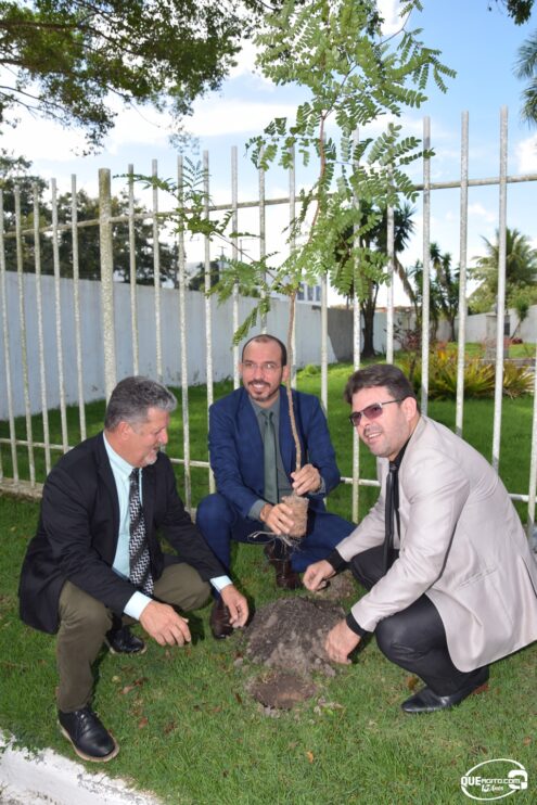 Câmara comemora Dia Mundial do Meio Ambiente com plantio de mudas 53