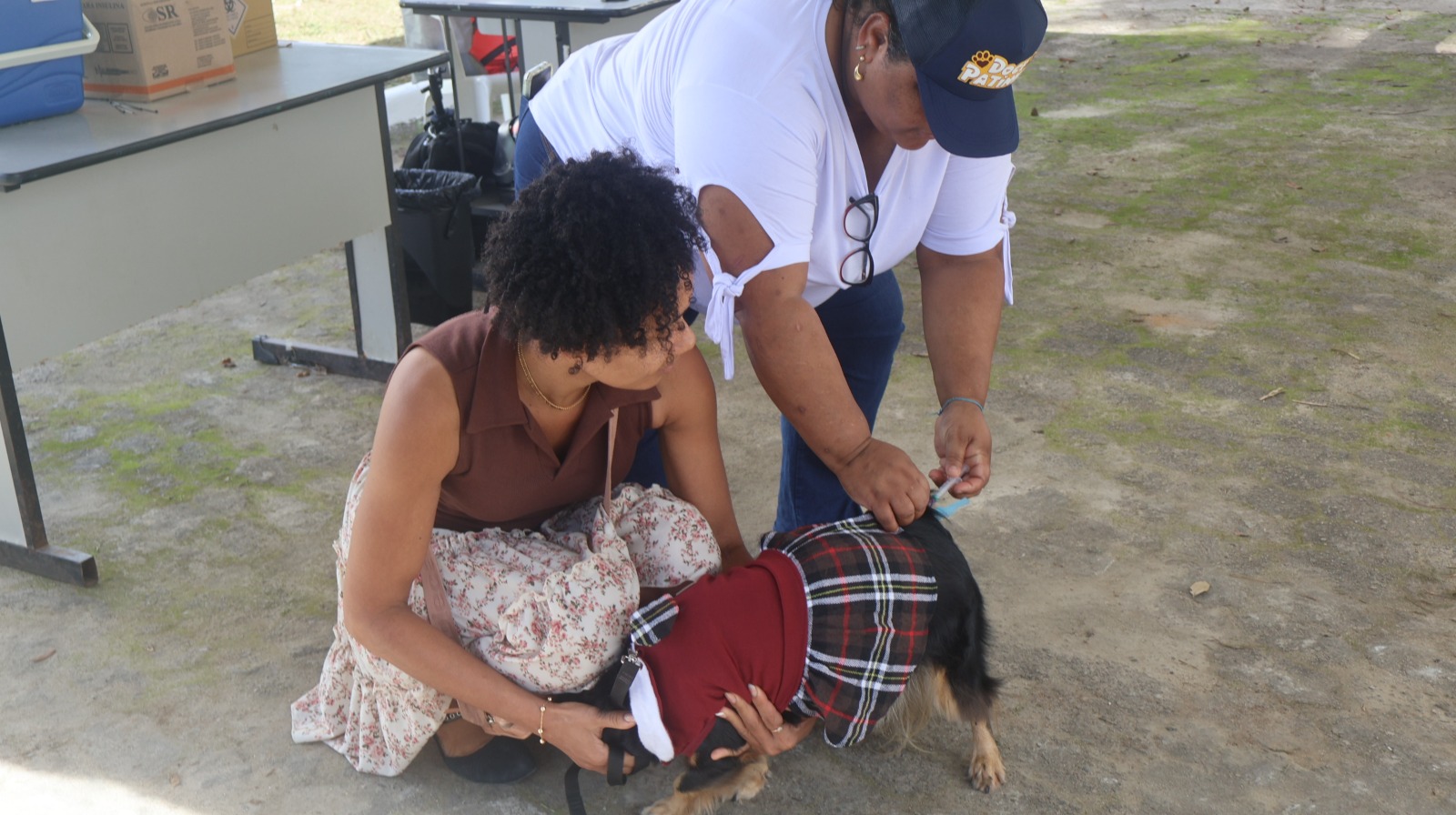 Sucesso marca a 2ª Feira de Adoção de Animais realizada em Eunápolis 6
