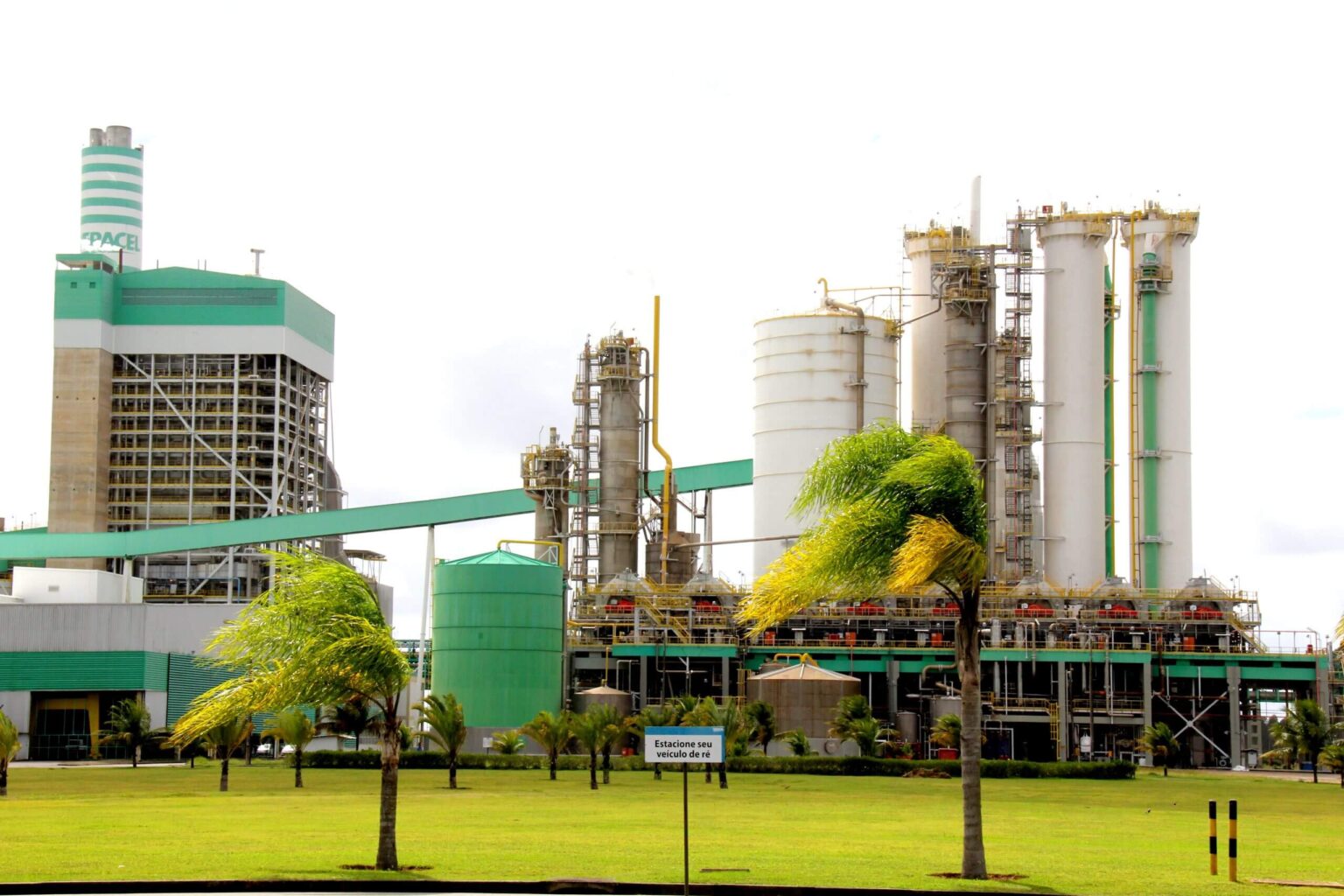 Veracel Celulose anuncia inscrições para Programa de Estágio 2025 9