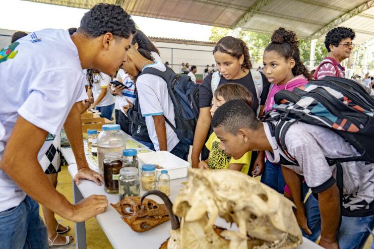 Semac promove ação educativa na Semana do Meio Ambiente em escola de Porto Seguro 20