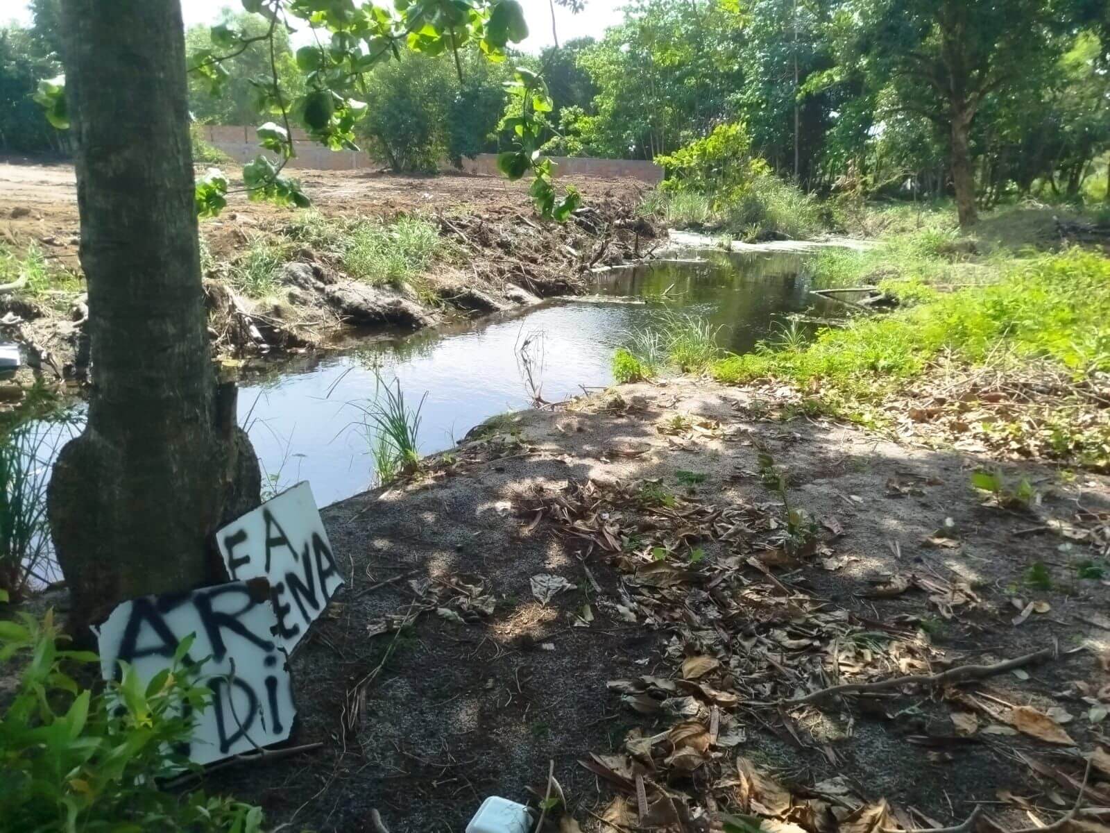 Invasão em área de manguezal na Orla Norte mobiliza Prefeitura e órgãos de fiscalização em Porto Seguro 5